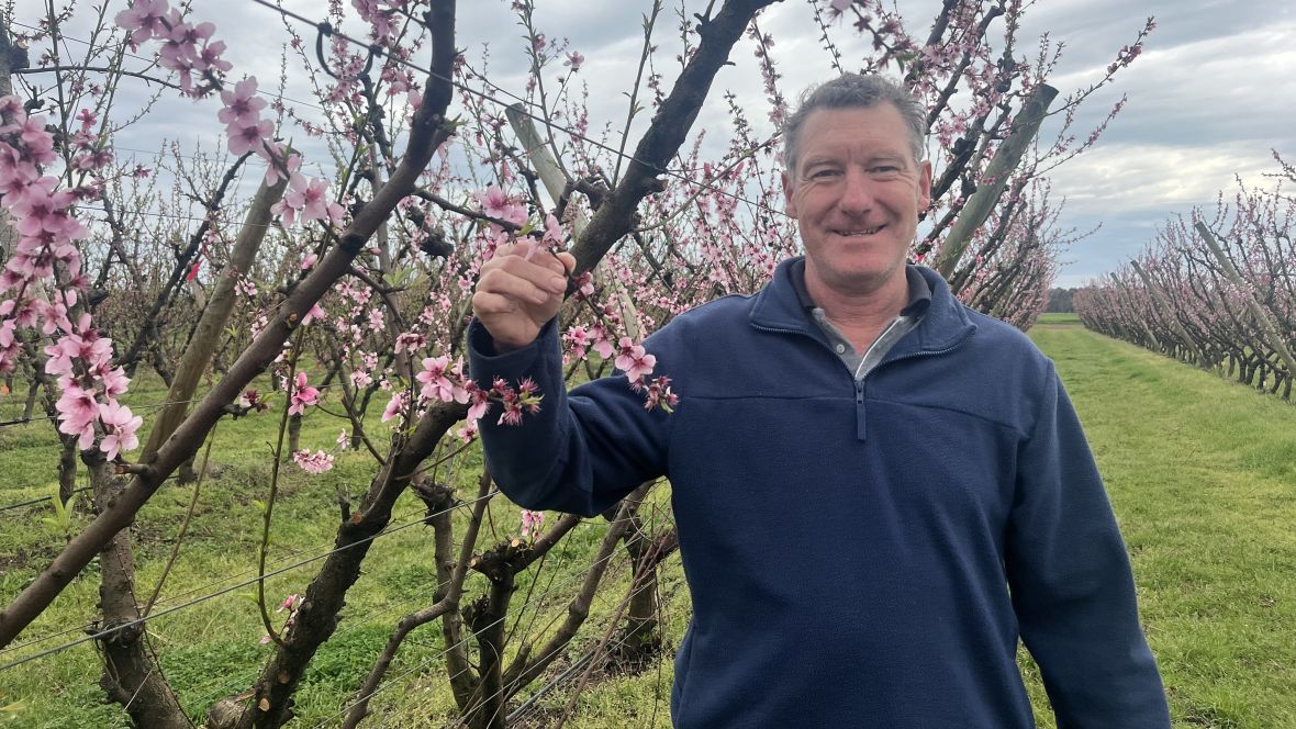 Dr Mark OcConnell standing in the Stonefruit research orchard at the Tatura SmartFarm