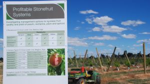 Stonefruit research orchard & equipment