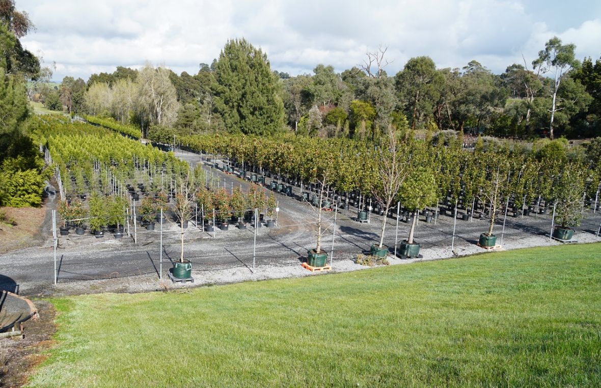 Horticulture industry network visit to Specialty tree nurseries