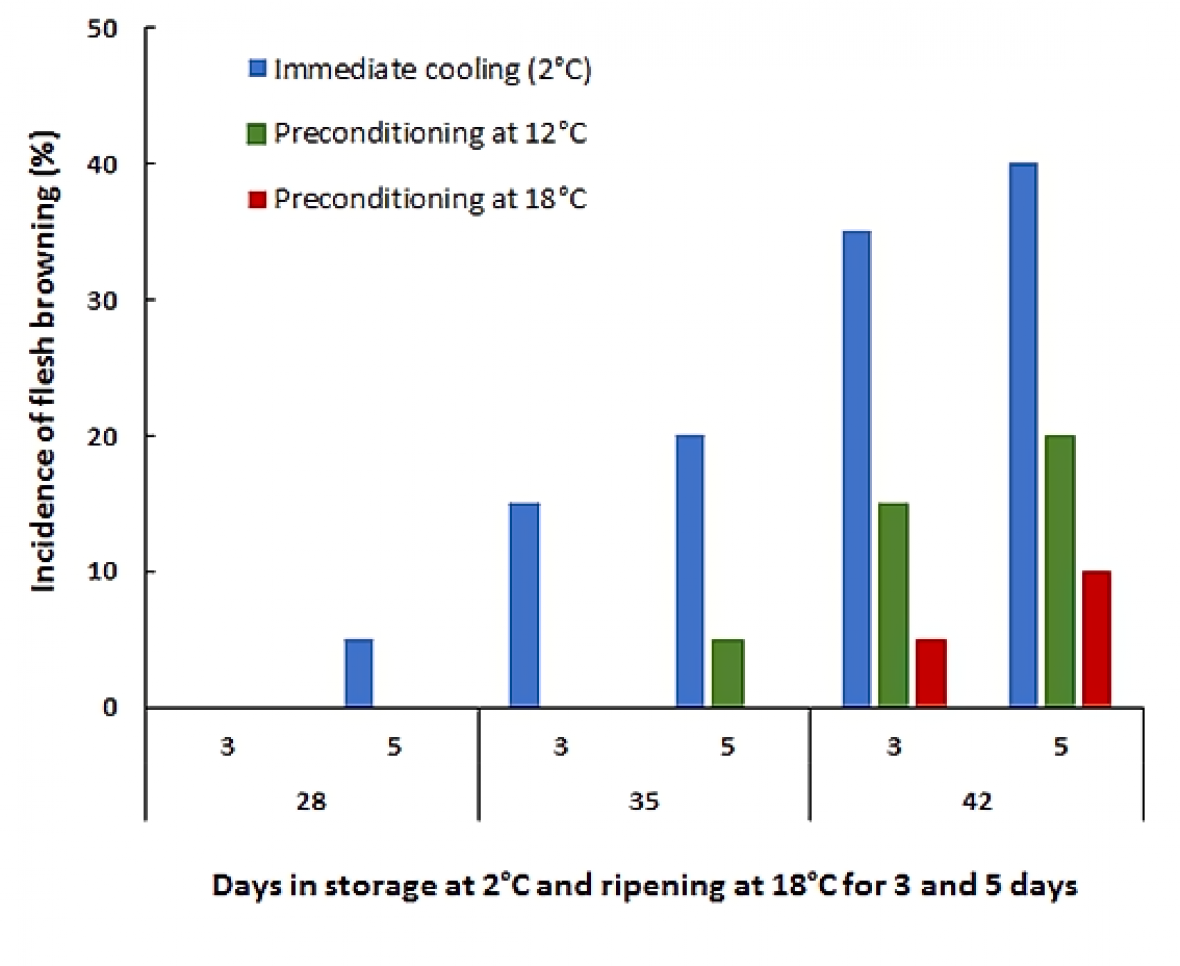 Graph of flesh browning incidence over time at 2, 12 and 18 degrees Celsius 